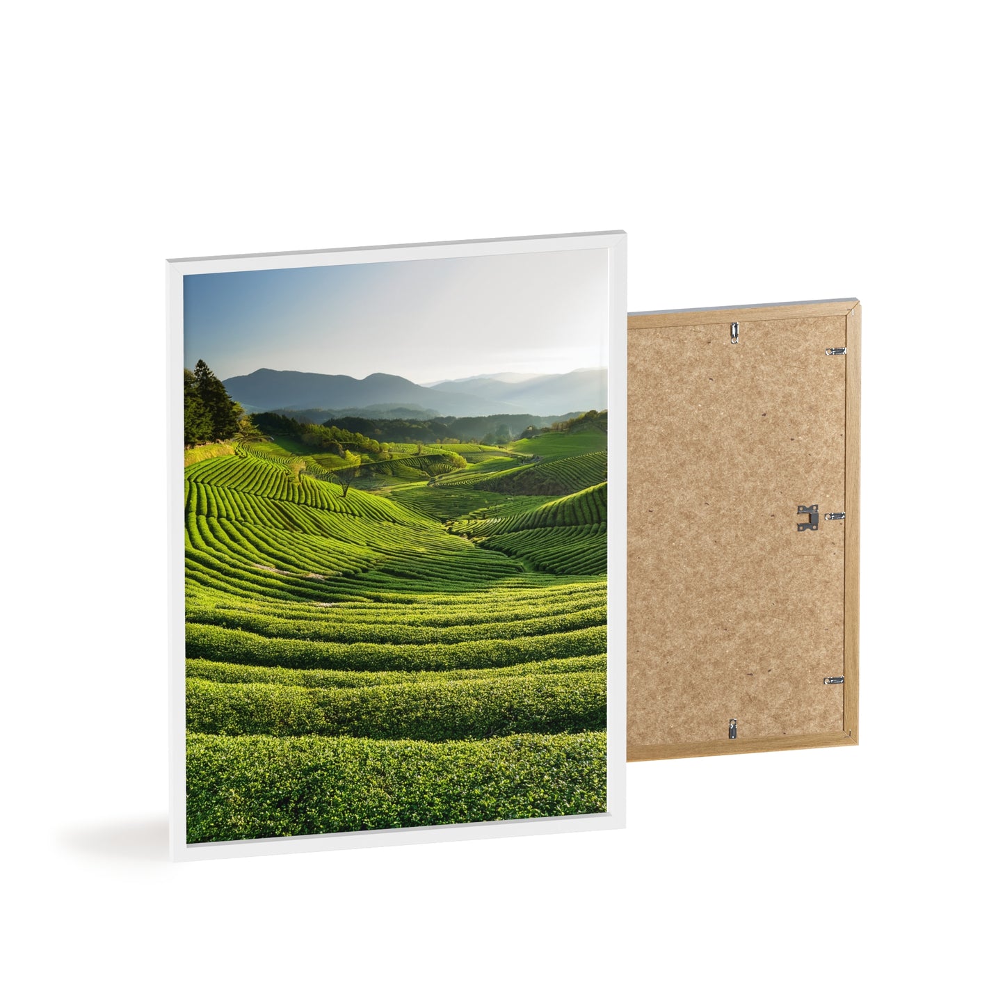 Plantacja Zielonej Herbaty Daehan Dawon - Boseong, Korea Południowa