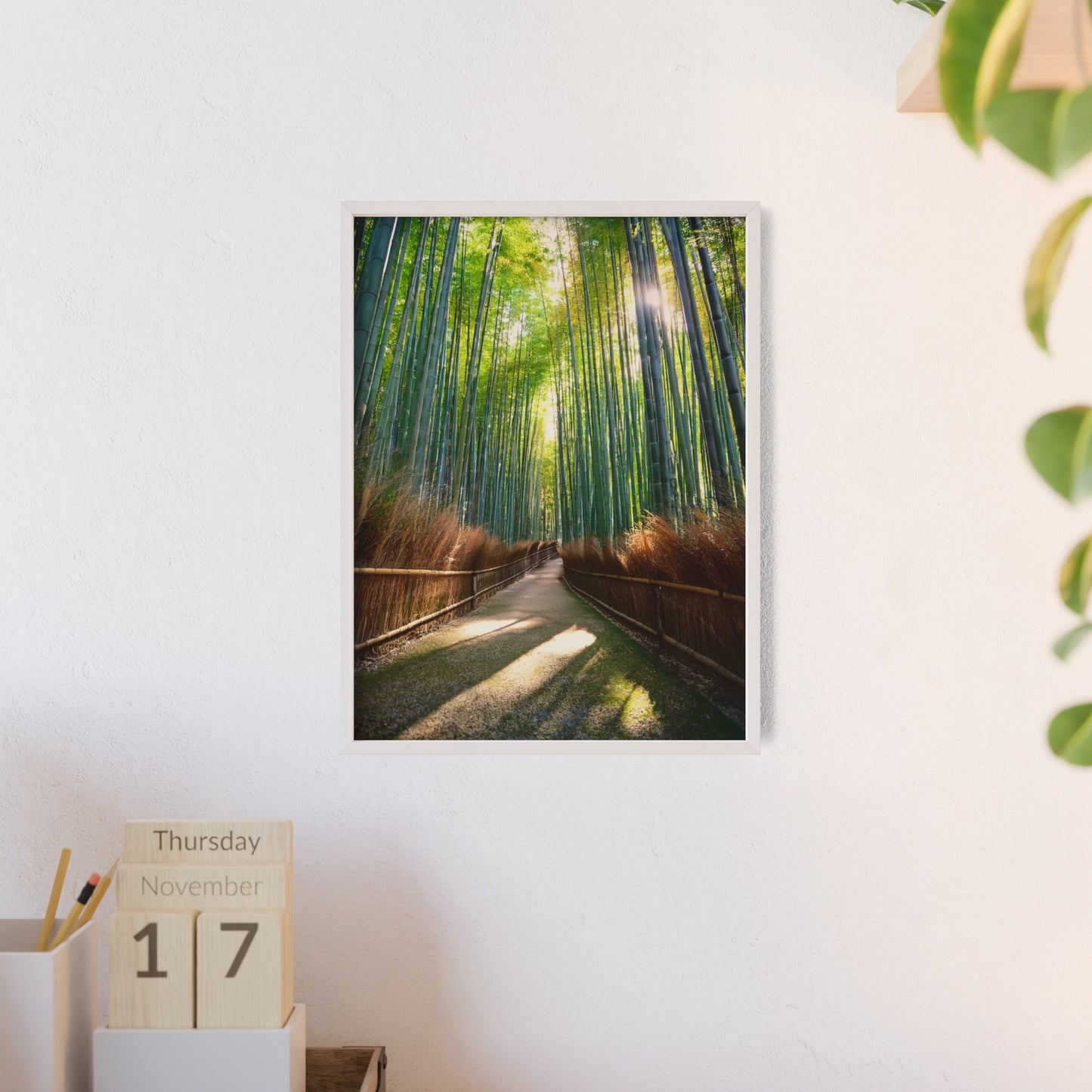 Las Bambusowy Arashiyama, Kioto