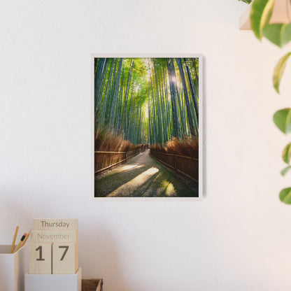 Las Bambusowy Arashiyama, Kioto