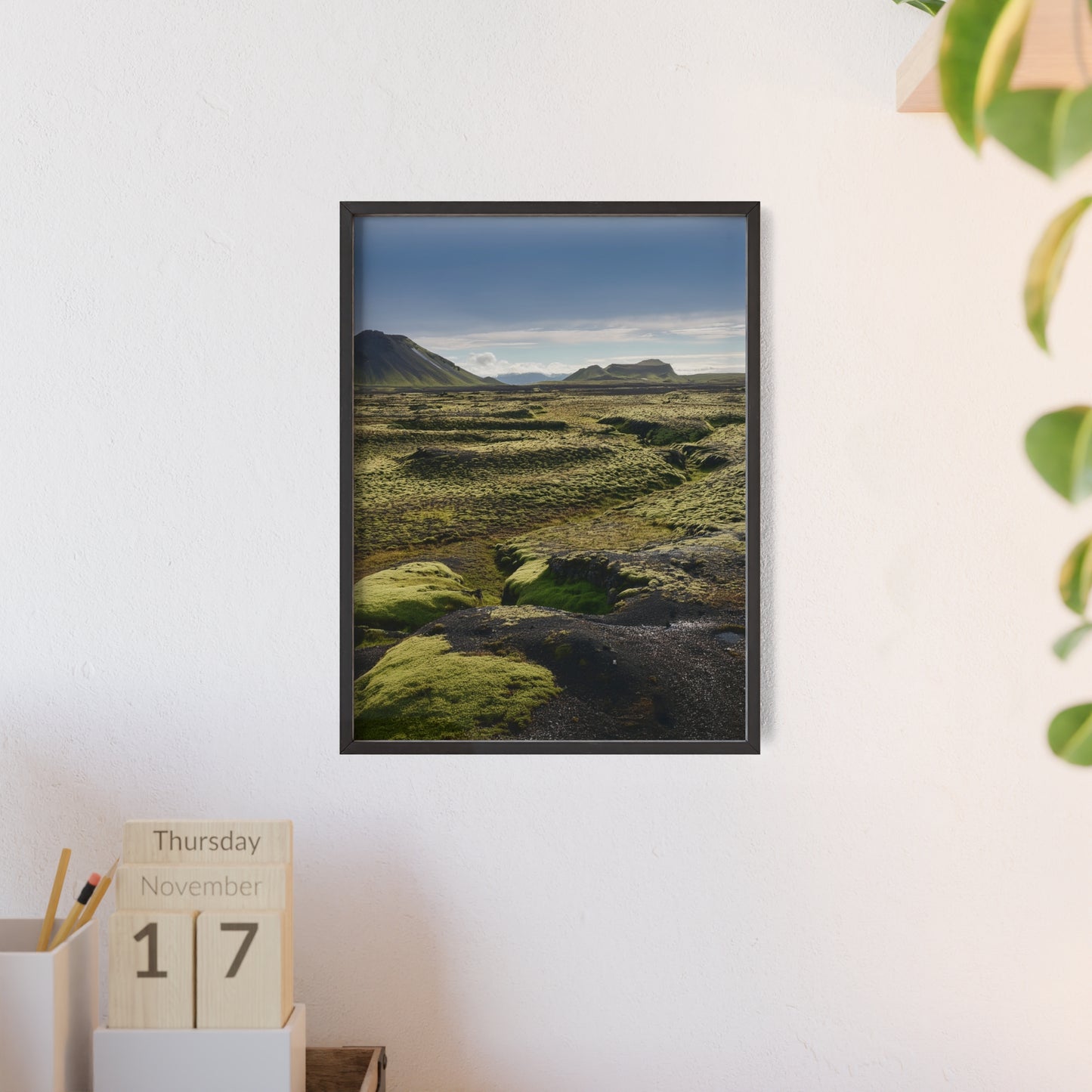 Islandia - mchy na polach lawy