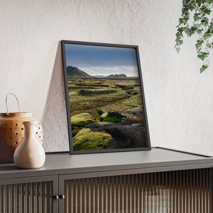 Islandia - mchy na polach lawy