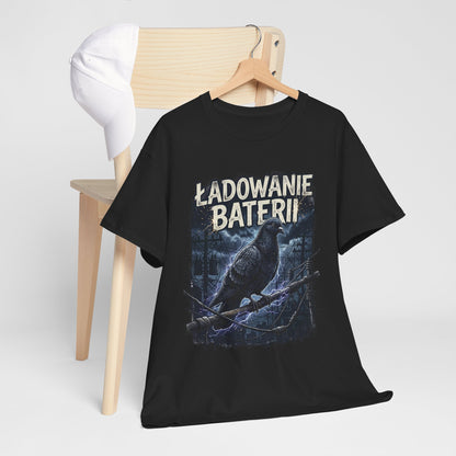 Ładowanie Baterii - ptaki nie istnieją