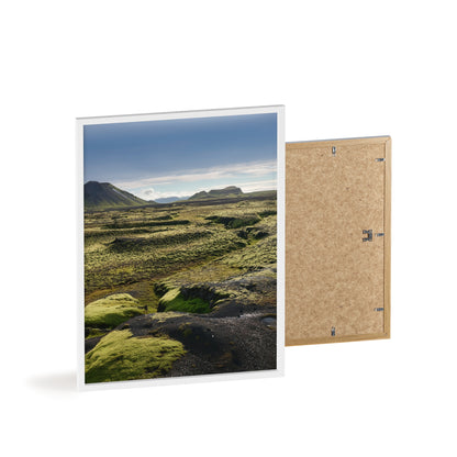 Islandia - mchy na polach lawy