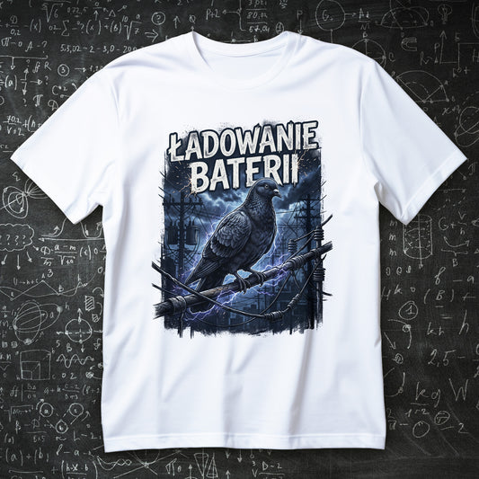 Ładowanie Baterii - ptaki nie istnieją