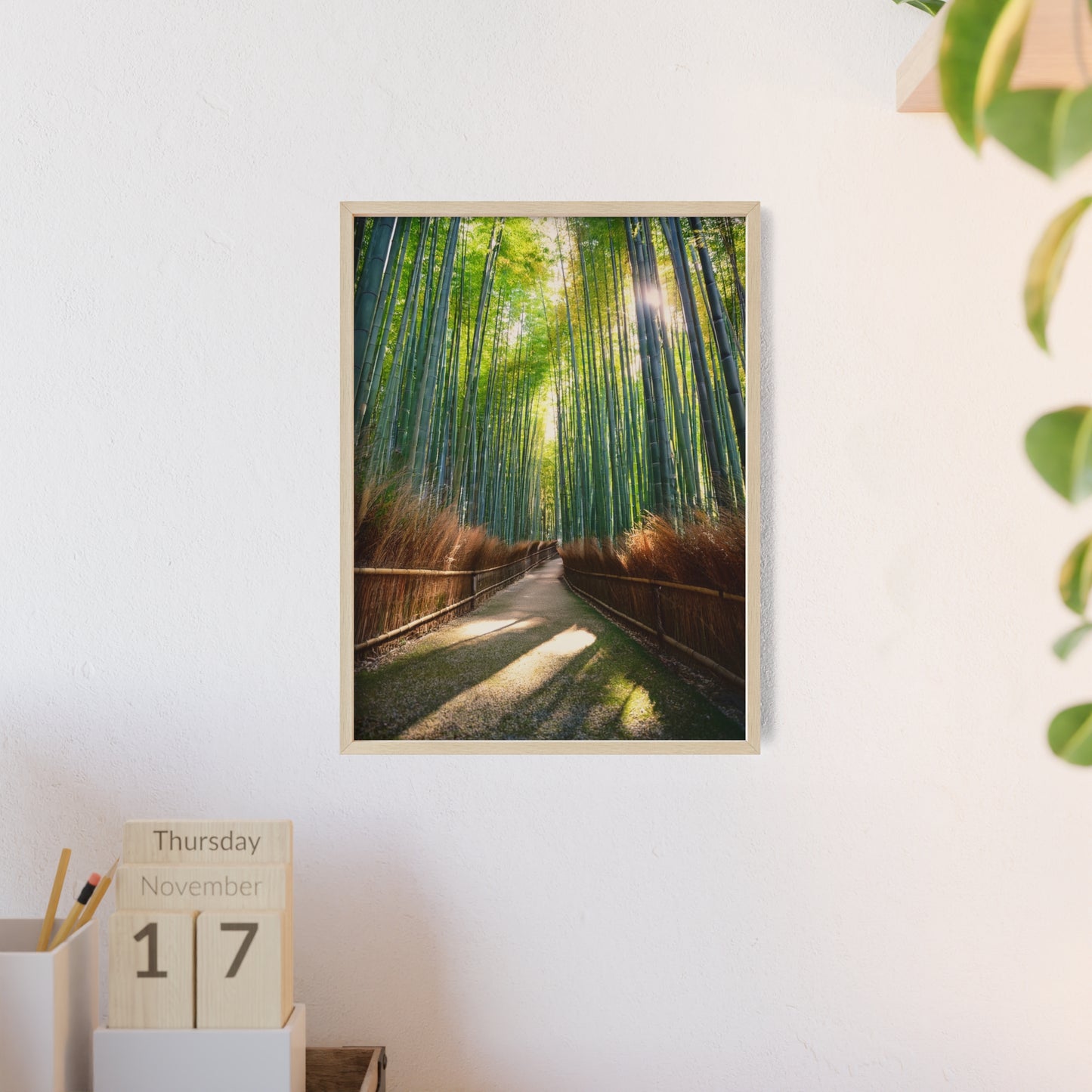 Las Bambusowy Arashiyama, Kioto