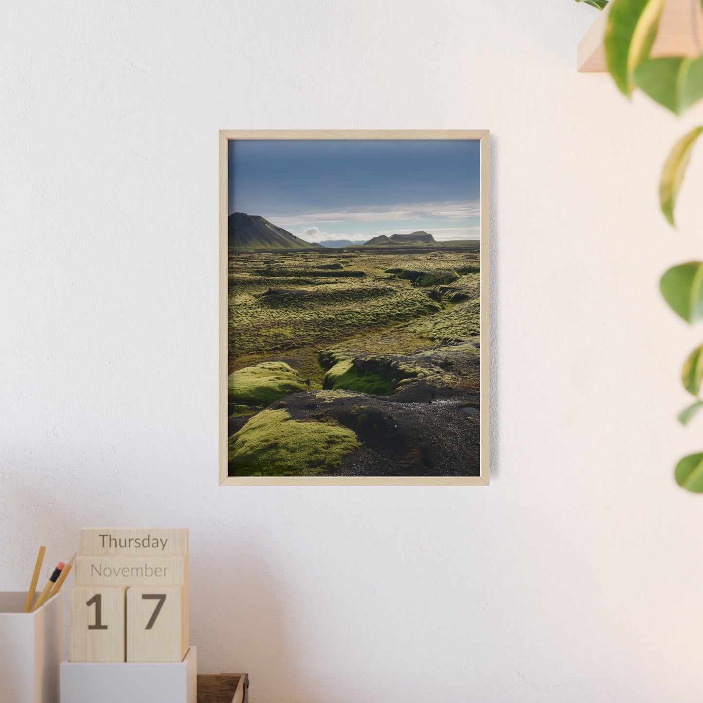 Islandia - mchy na polach lawy