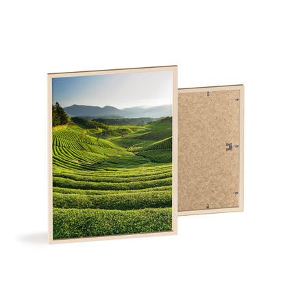 Plantacja Zielonej Herbaty Daehan Dawon - Boseong, Korea Południowa