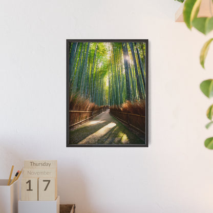 Las Bambusowy Arashiyama, Kioto