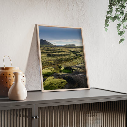 Islandia - mchy na polach lawy