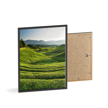 Plantacja Zielonej Herbaty Daehan Dawon - Boseong, Korea Południowa