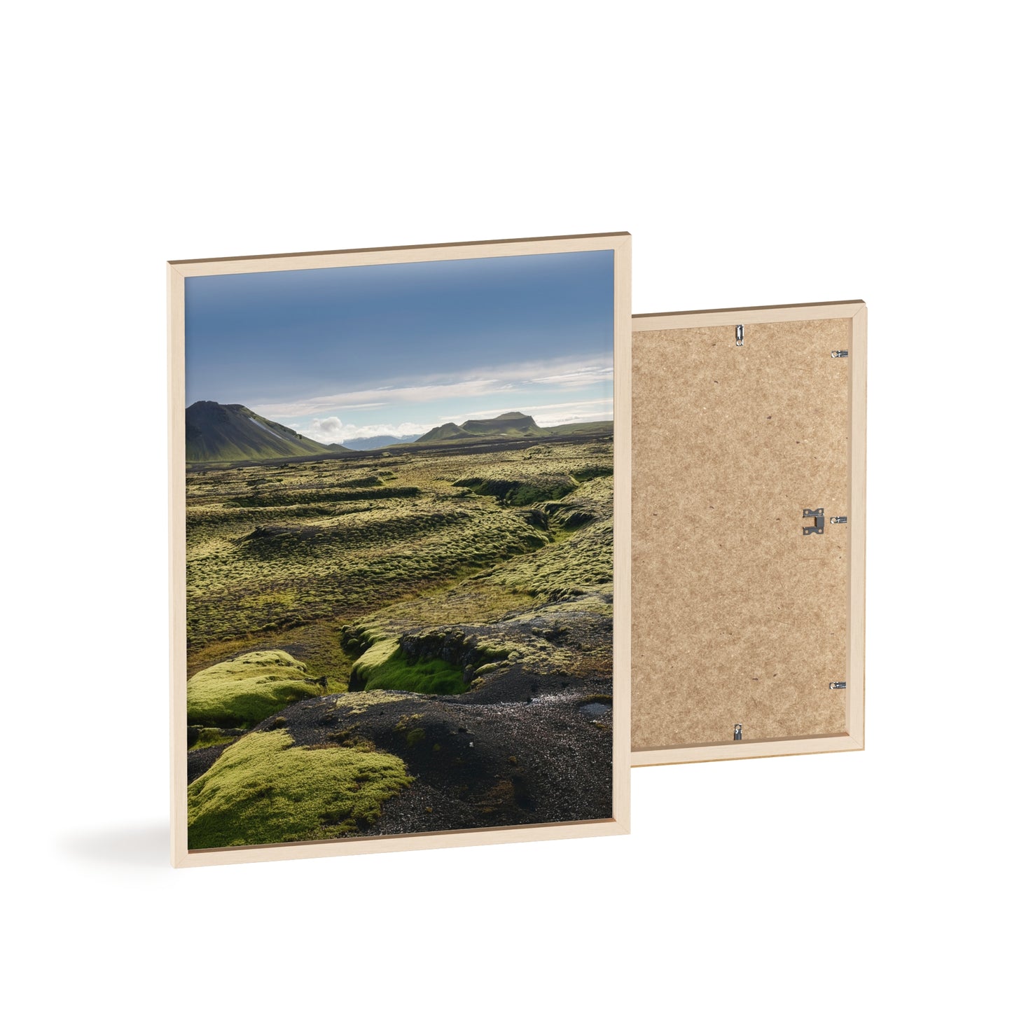 Islandia - mchy na polach lawy